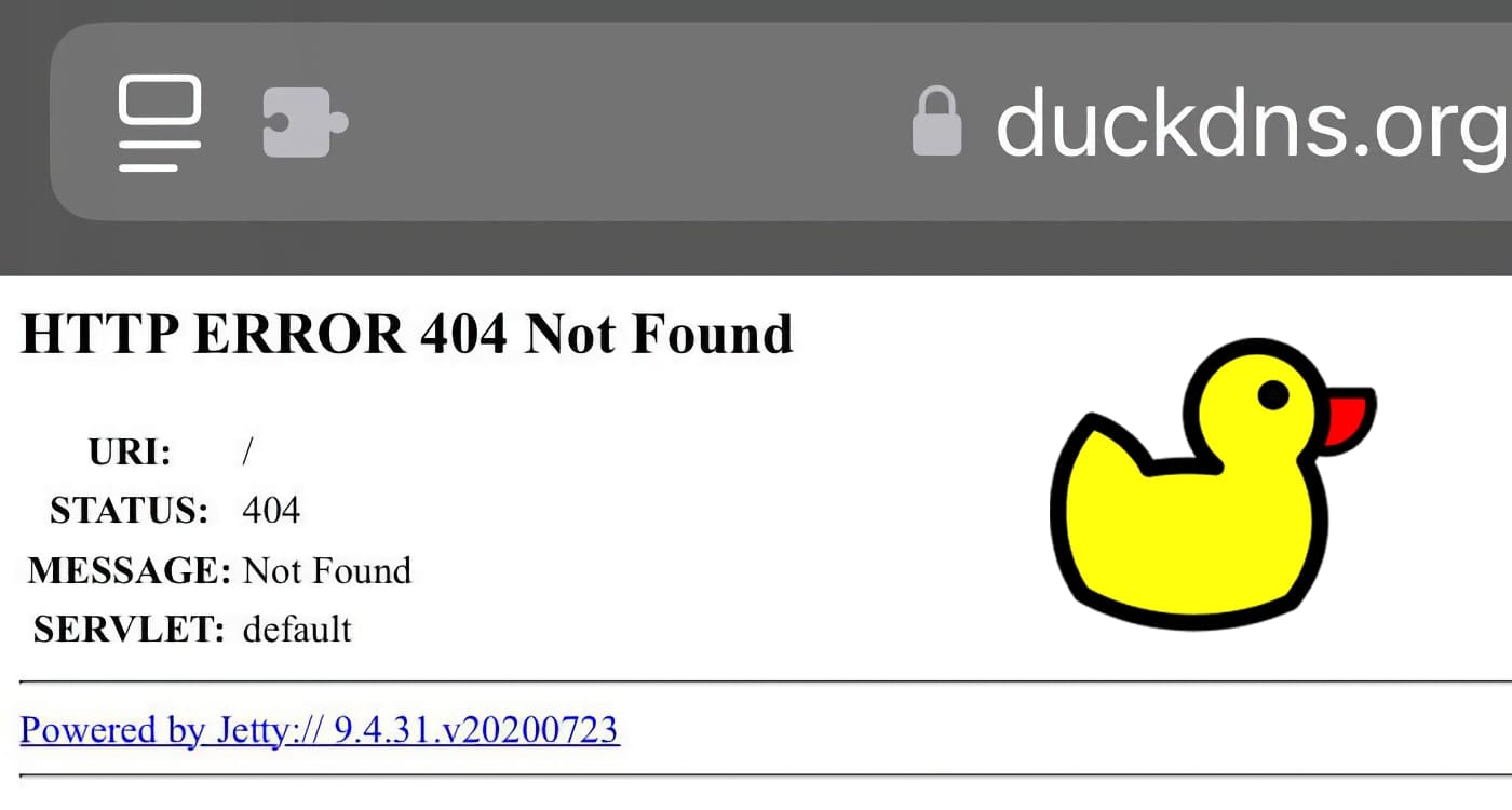 E0990: Buscando alternativas a DuckDNS